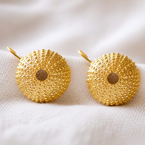 gold shell stud earrings in 925 sterling silver on white background